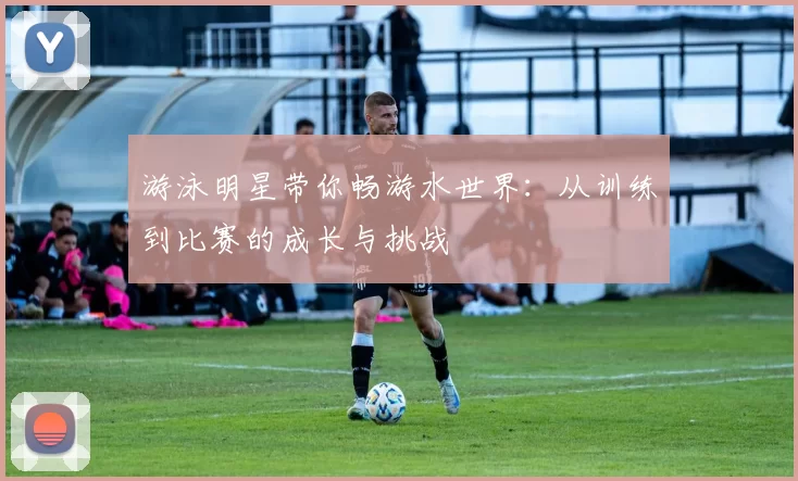 游泳明星带你畅游水世界：从训练到比赛的成长与挑战