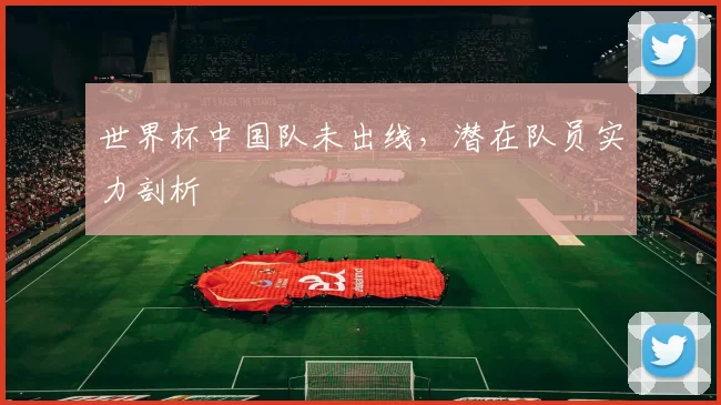 世界杯中国队未出线，潜在队员实力剖析