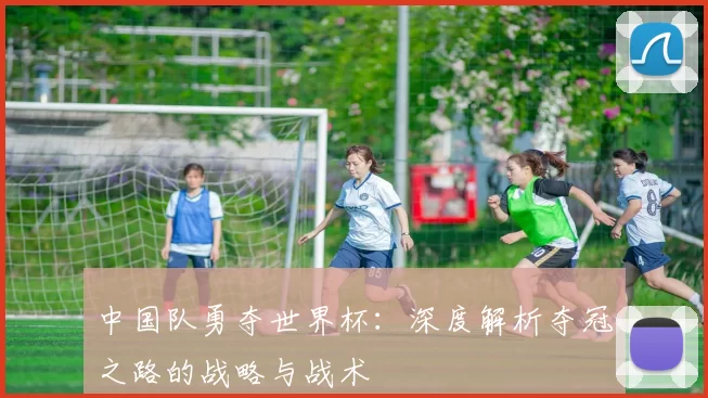 中国队勇夺世界杯：深度解析夺冠之路的战略与战术