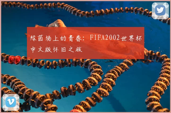 绿茵场上的青春:FIFA2002世界杯中文版怀旧之旅