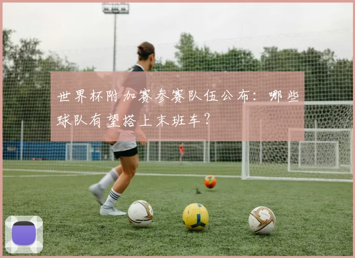 世界杯附加赛参赛队伍公布：哪些球队有望搭上末班车？