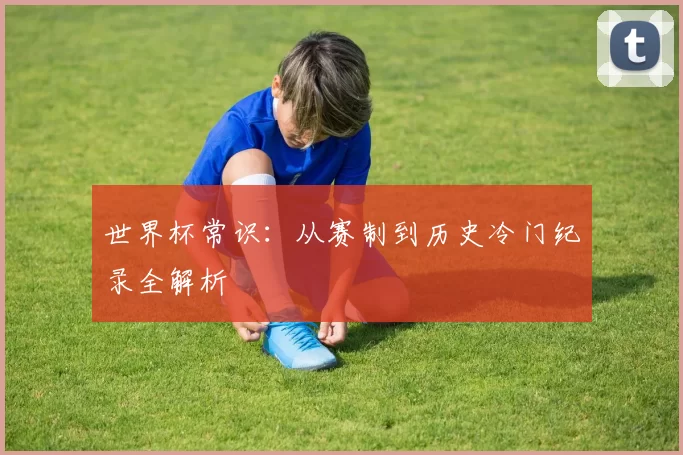 世界杯常识：从赛制到历史冷门纪录全解析
