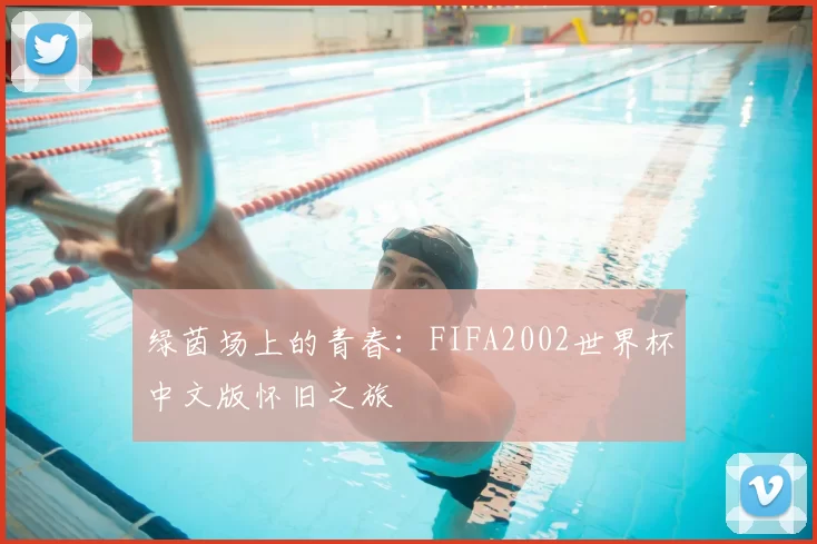 绿茵场上的青春：FIFA2002世界杯中文版怀旧之旅