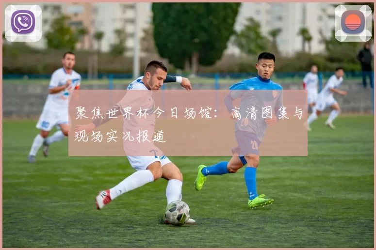 聚焦世界杯今日场馆:高清图集与现场实况报道