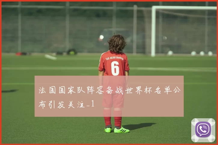 法国国家队阵容备战世界杯名单公布引发关注_1