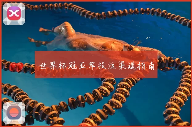 世界杯冠亚军投注渠道指南