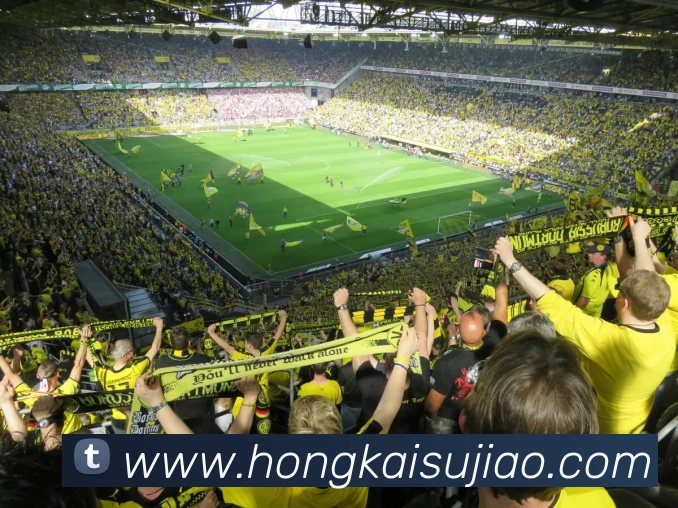 App Interface Preview