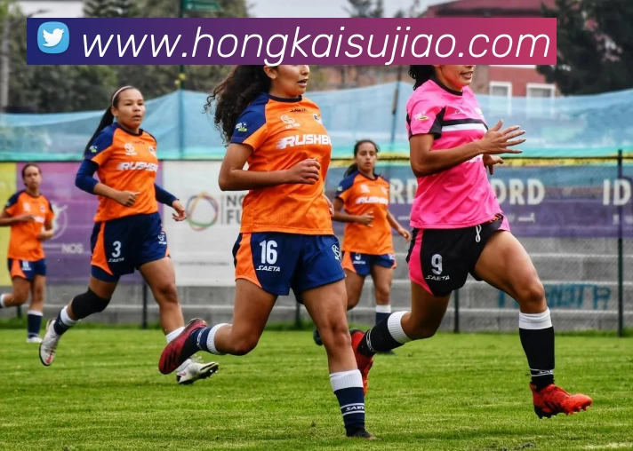 爱游戏官网APP 封面图